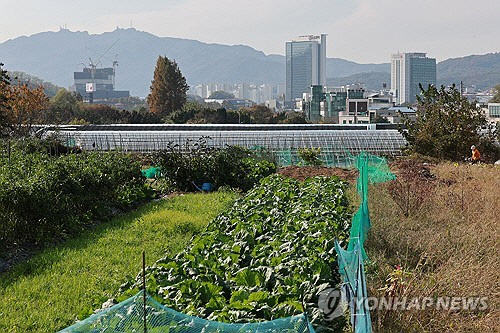 정부가 서울을 포함해 수도권 일대 그린벨트 해제 및 주택 공급계획을 발표한 5일 서울 서초구 염곡동 개발제한구역 모습. 대규모 주택 공급을 위해 서울 그린벨트를 전면 해제하는 것은 이명박 정부 때인 2012년 이후 12년 만이다.   [연합뉴스]